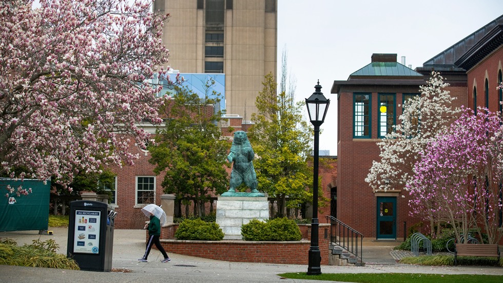 Brown University campus